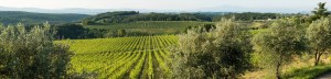 felsina-chianti-classico-news