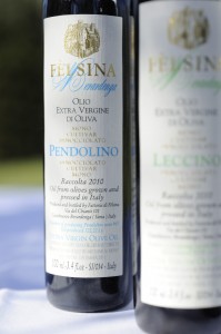 Pendolino-felsina