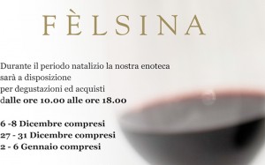 Felsina