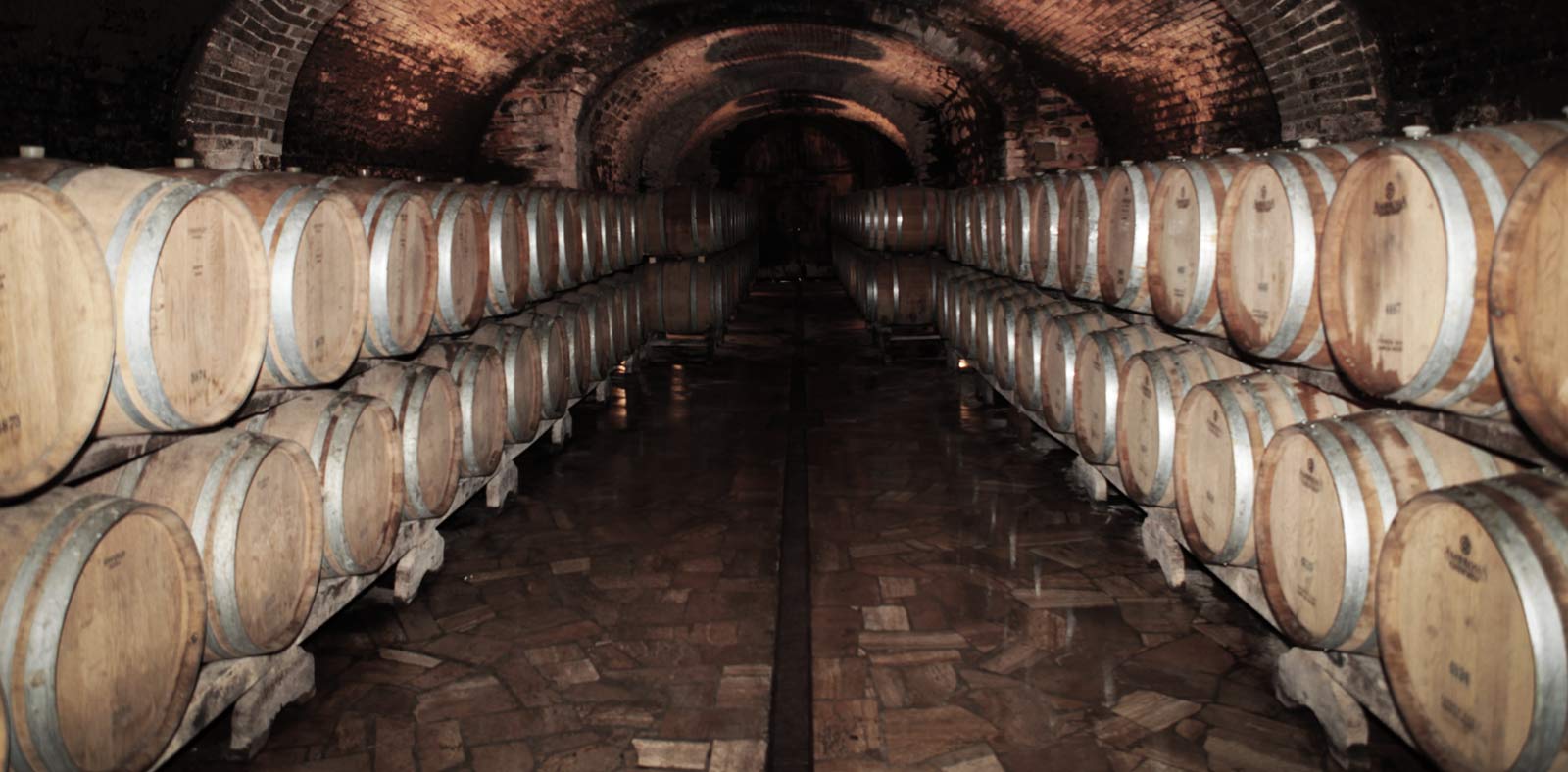 CELLAR