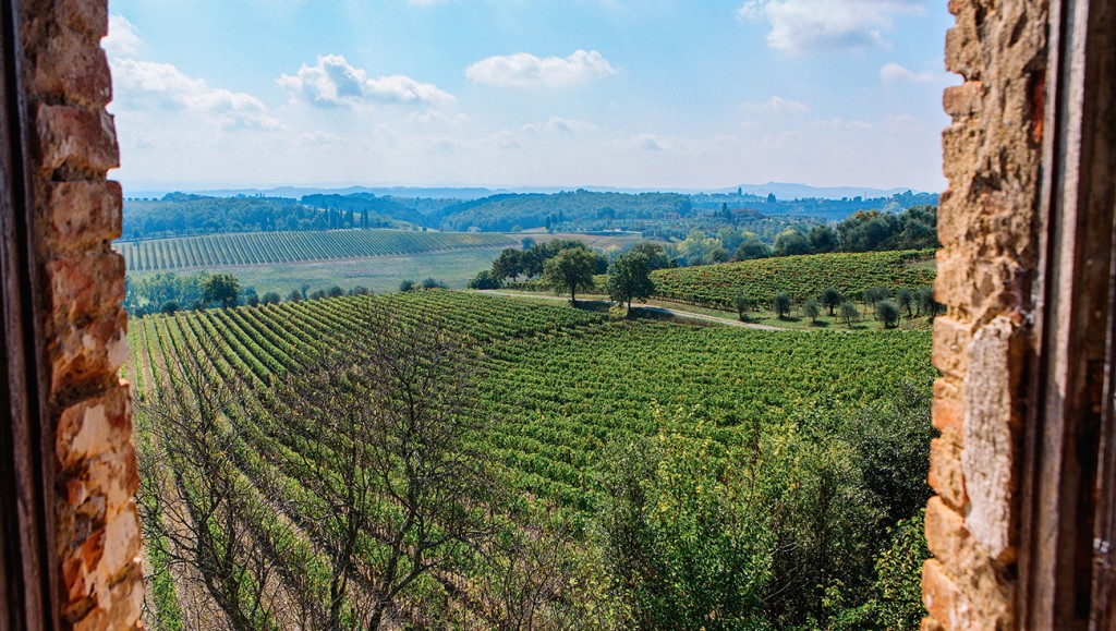 VISTA-DALLA-FINESTRA-FELSINA