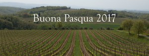 fb-pasqua-felsina-17