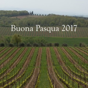 quadrato-pasqua-felsina-17
