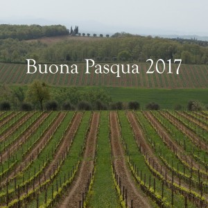 quadrato-pasqua-felsina-17