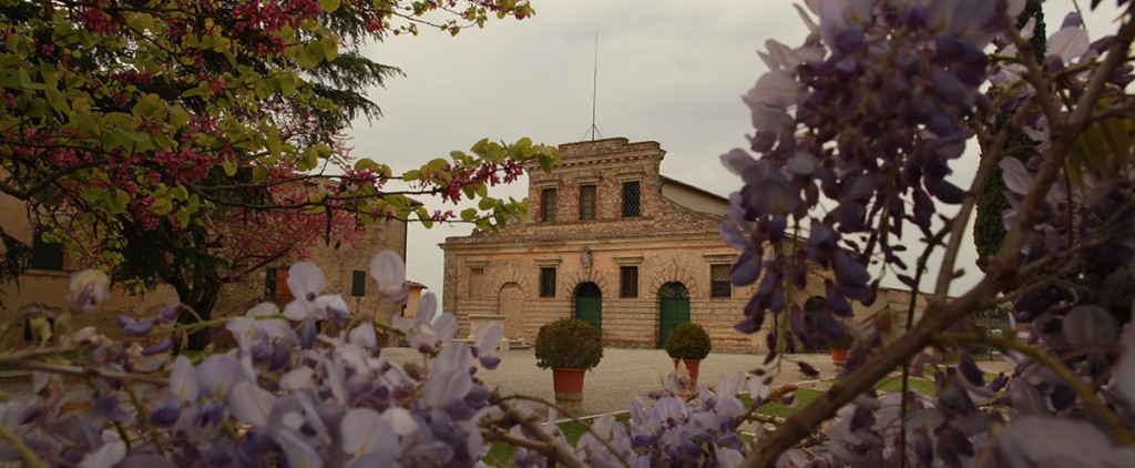 FELSINA.PRIMAVERA