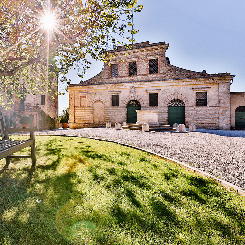 box-felsina-il-vino-unisce