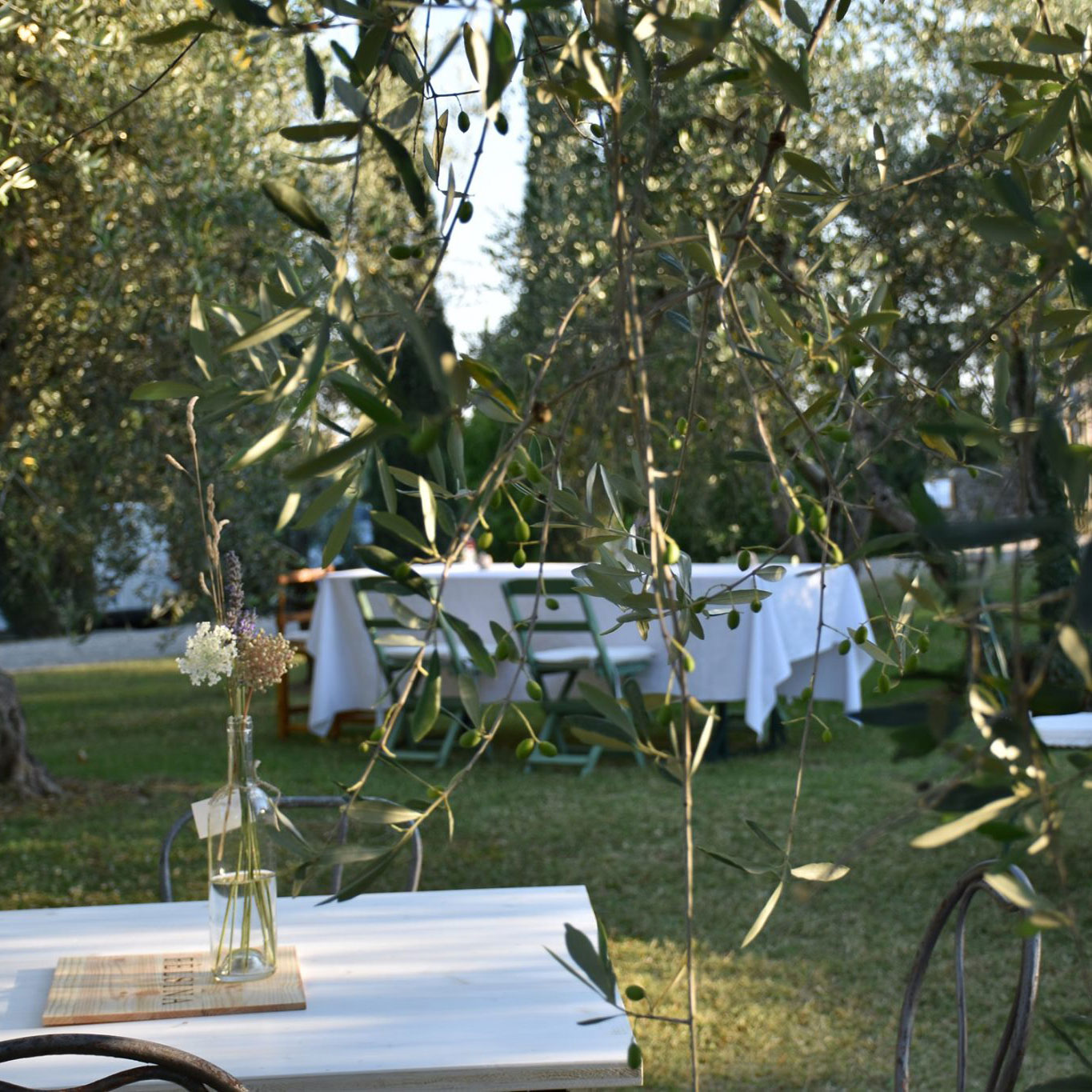 oliveta-felsina-cantine-aperte