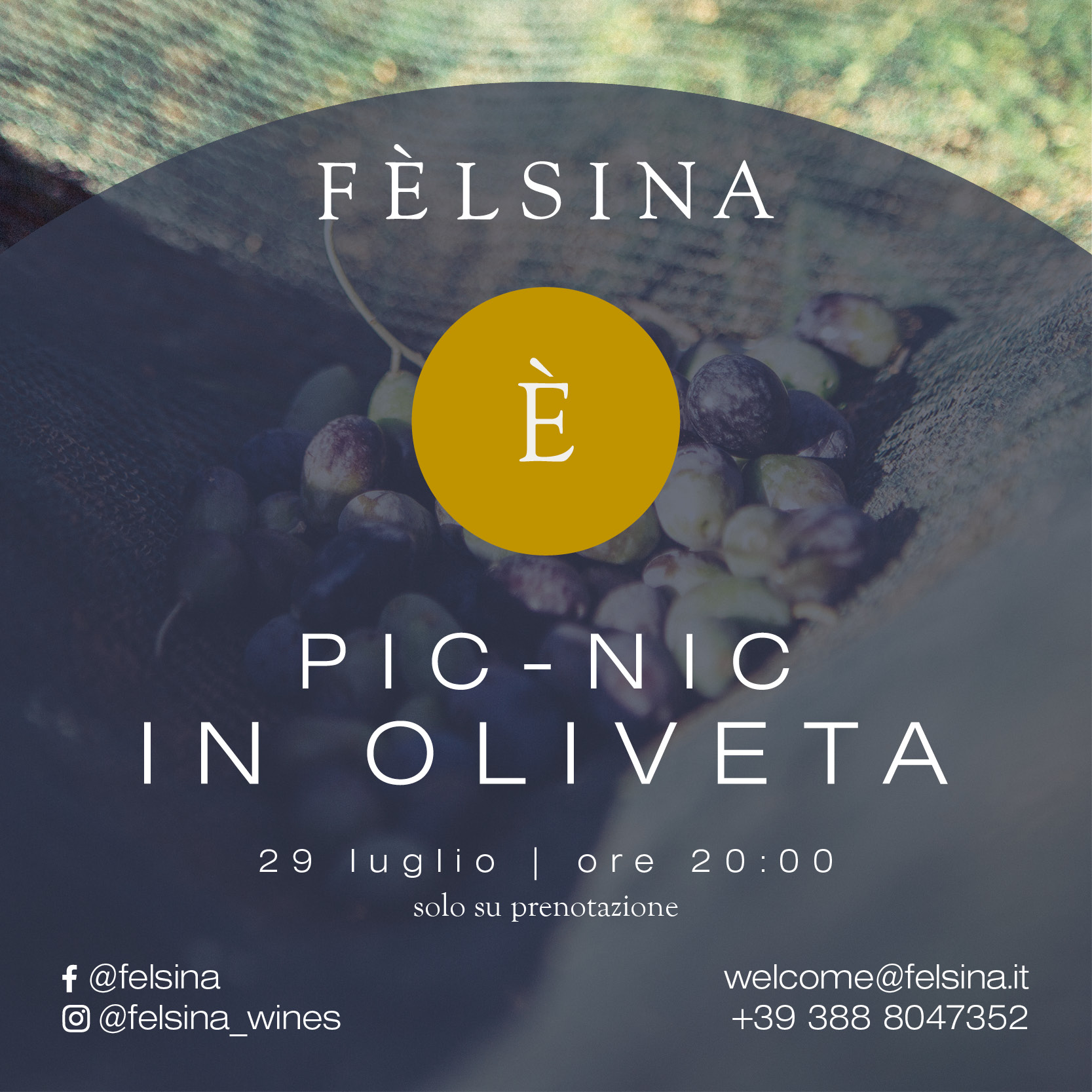 felsina_pic-nic-eventi-2021-29-luglio_