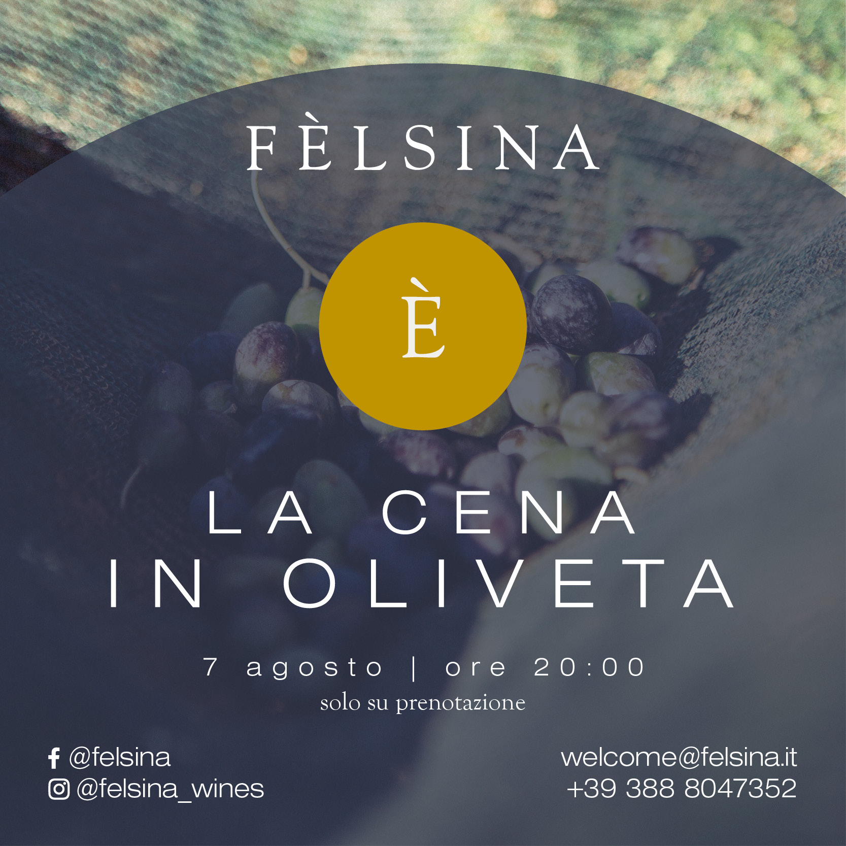 felsina_post_2021_eventi8